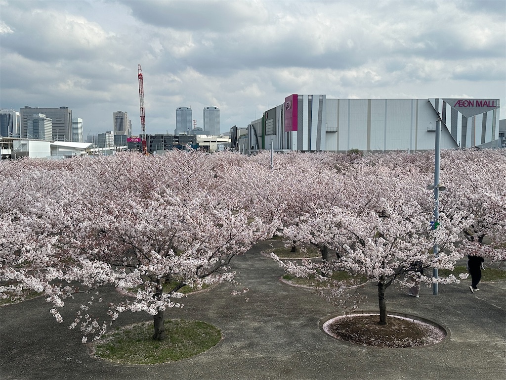 f:id:yoshino_40:20230402185741j:image