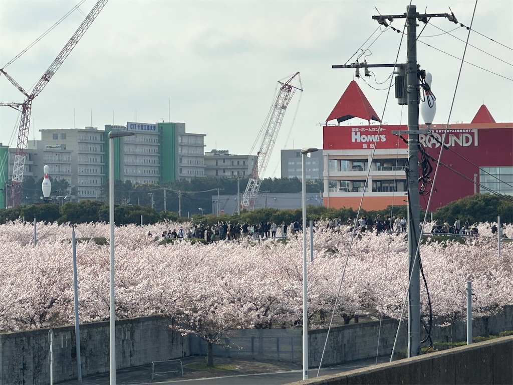 f:id:yoshino_40:20230402190528j:image