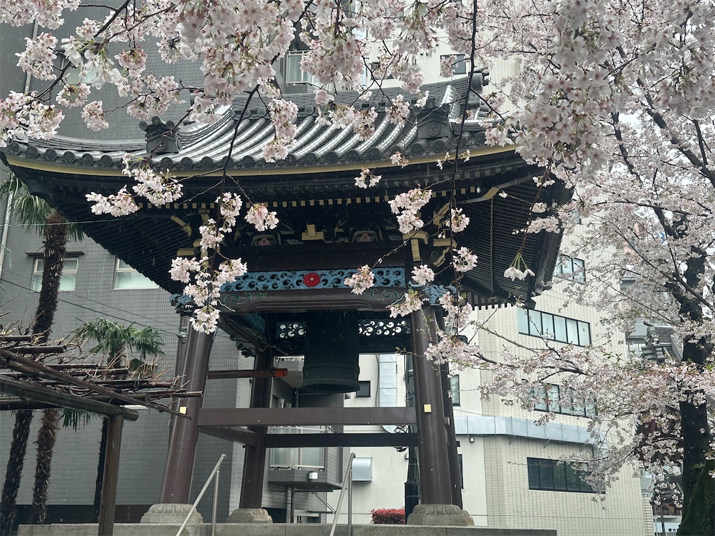 f:id:yoshino_40:20230405014116j:image f:id:yoshino_40:20230405014116j:image
