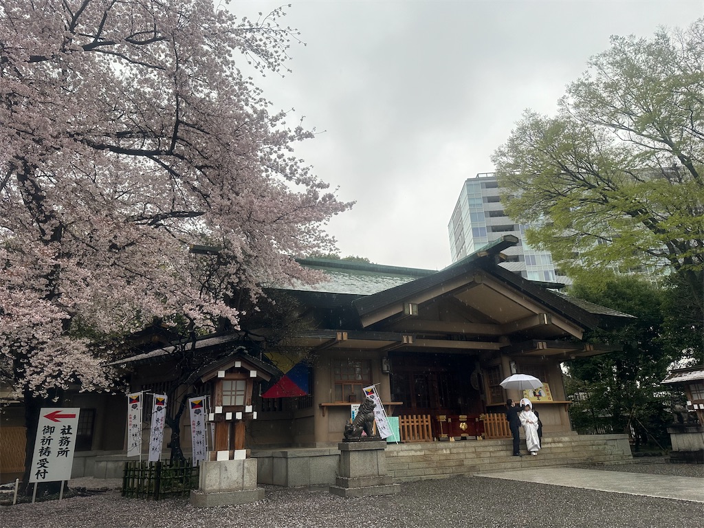 f:id:yoshino_40:20230405015232j:image f:id:yoshino_40:20230405015232j:image