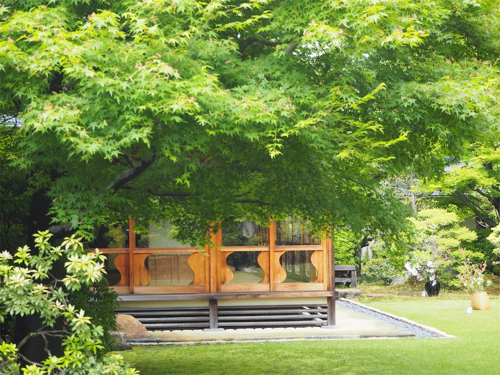 f:id:yoshino_40:20230430191753j:image