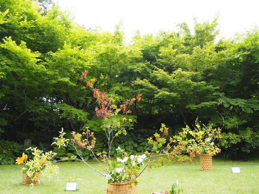 f:id:yoshino_40:20230430191826j:image