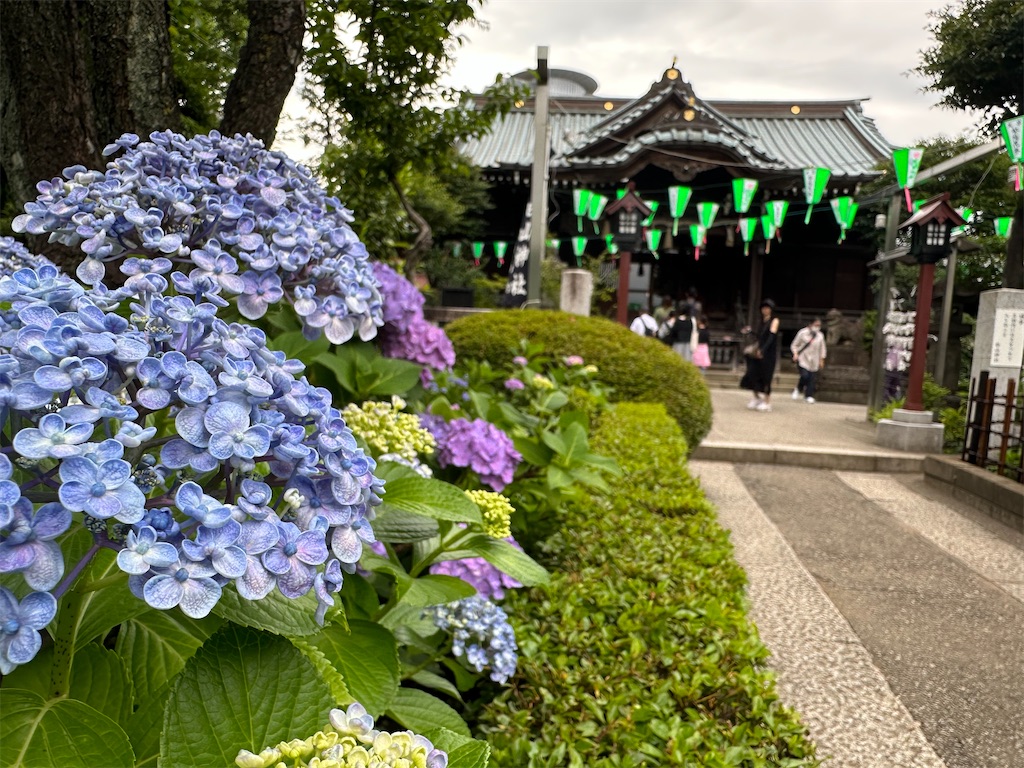 f:id:yoshino_40:20230605004805j:image