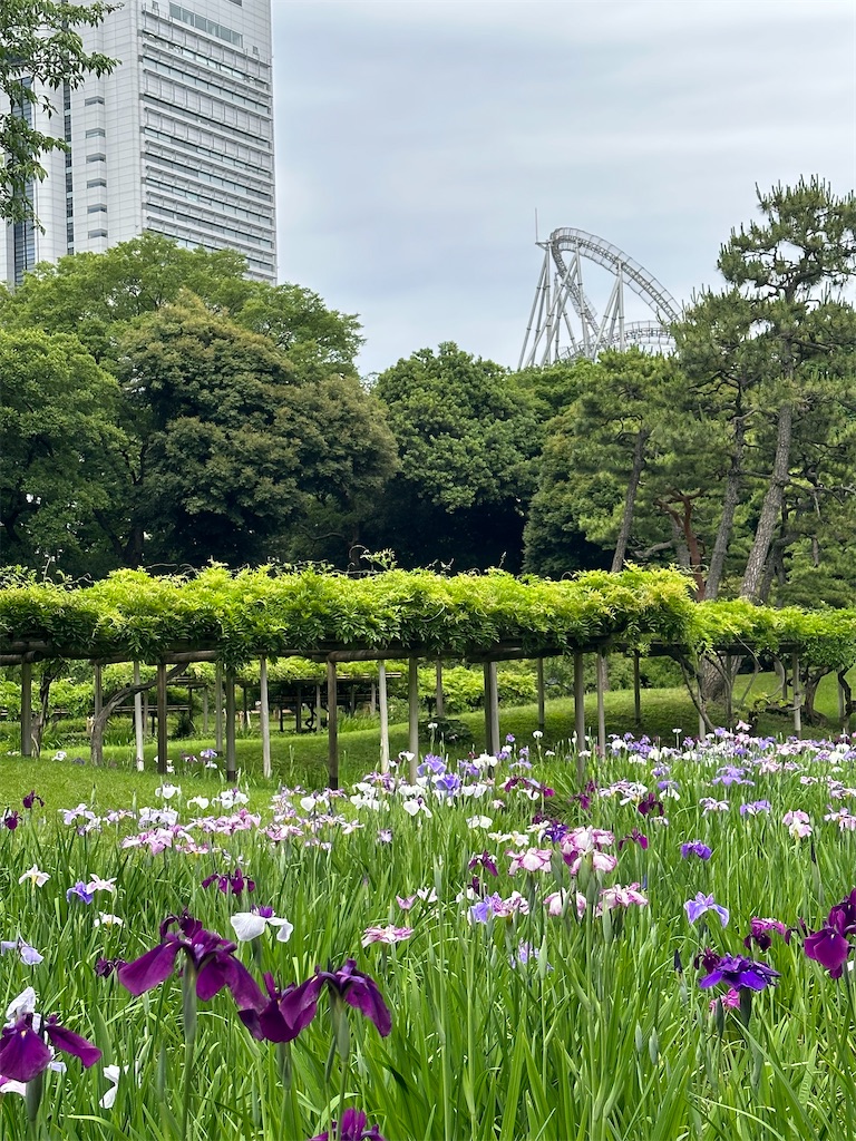 f:id:yoshino_40:20230605212140j:image