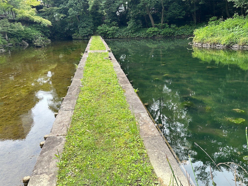 f:id:yoshino_40:20230605215501j:image