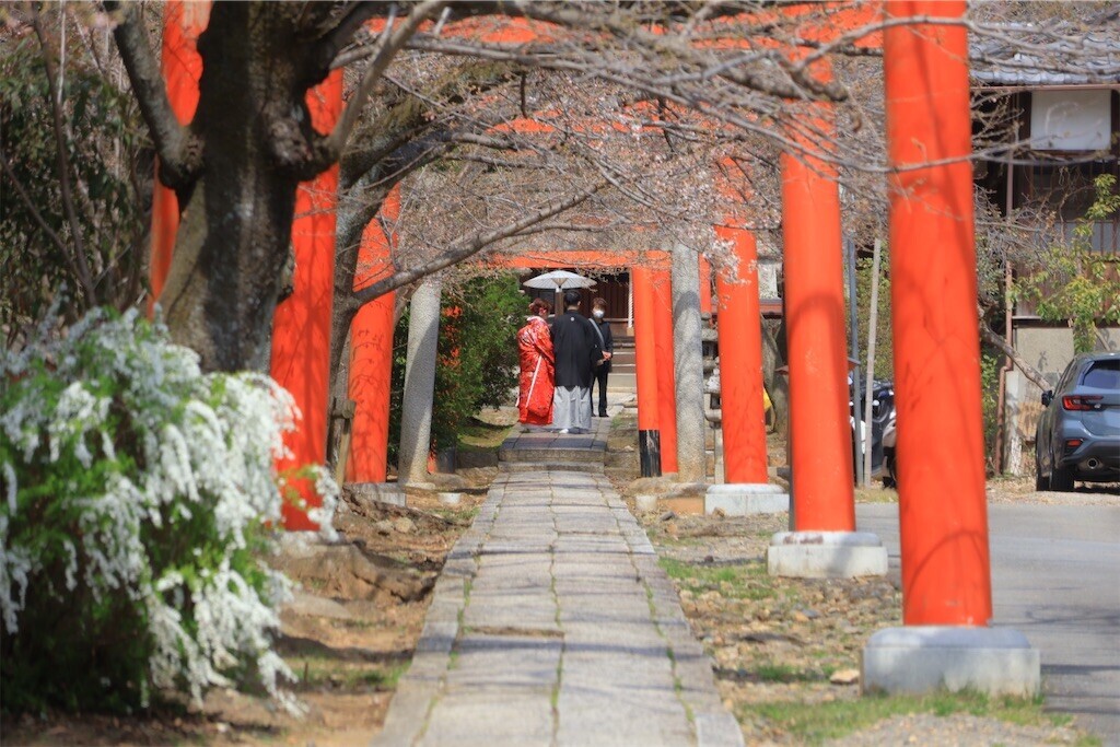 f:id:yoshino_40:20240330210510j:image