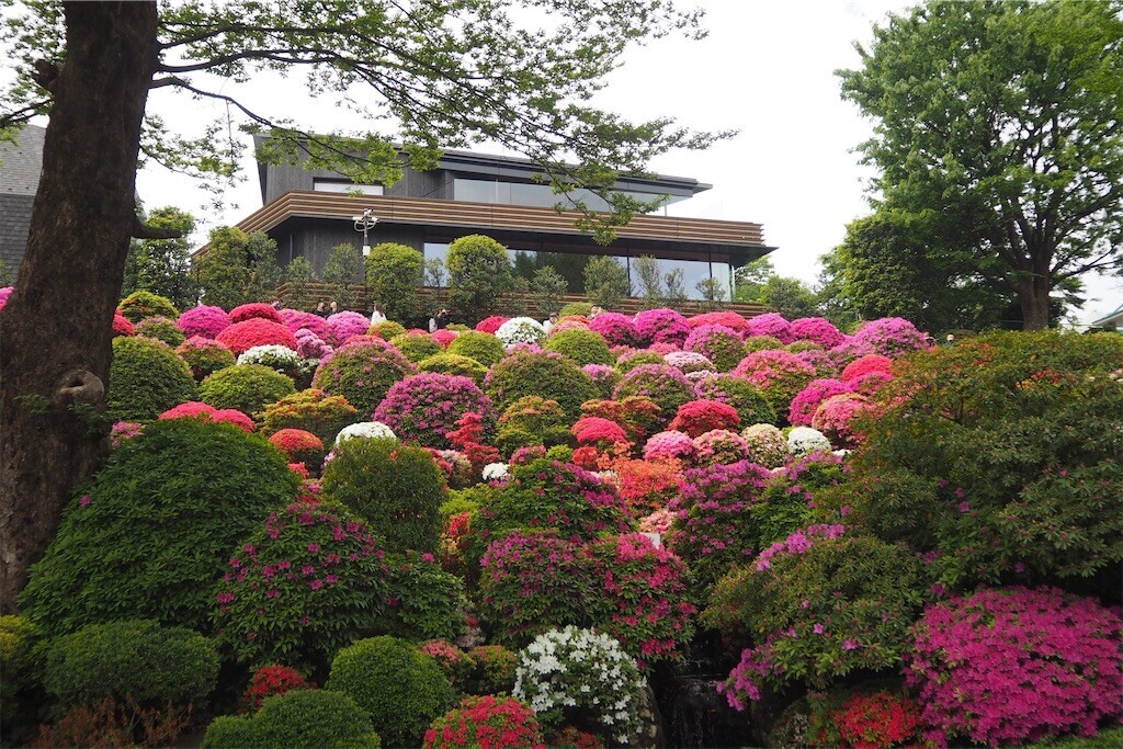 f:id:yoshino_40:20240421215413j:image