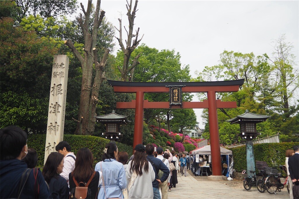 f:id:yoshino_40:20240421215416j:image