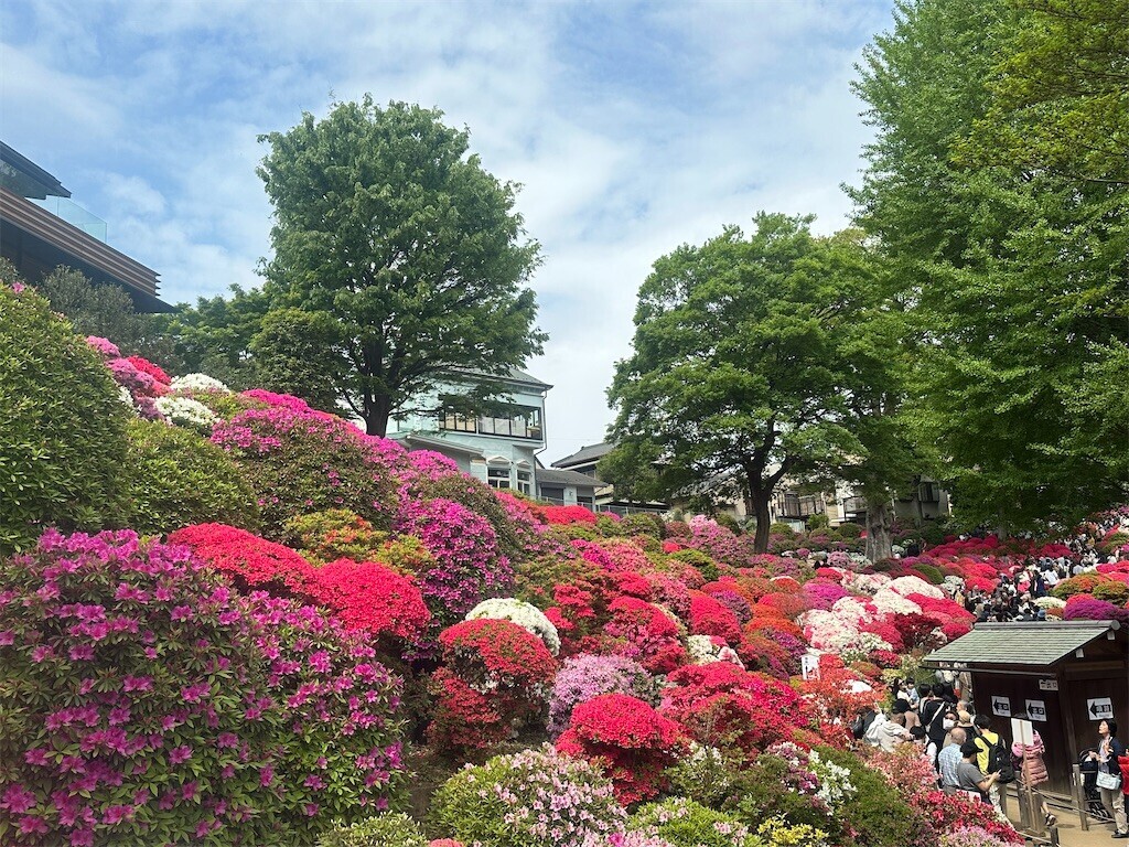 f:id:yoshino_40:20240421215728j:image