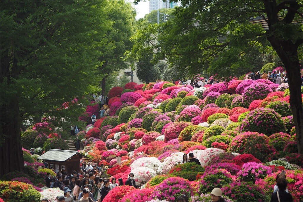 f:id:yoshino_40:20240421215731j:image