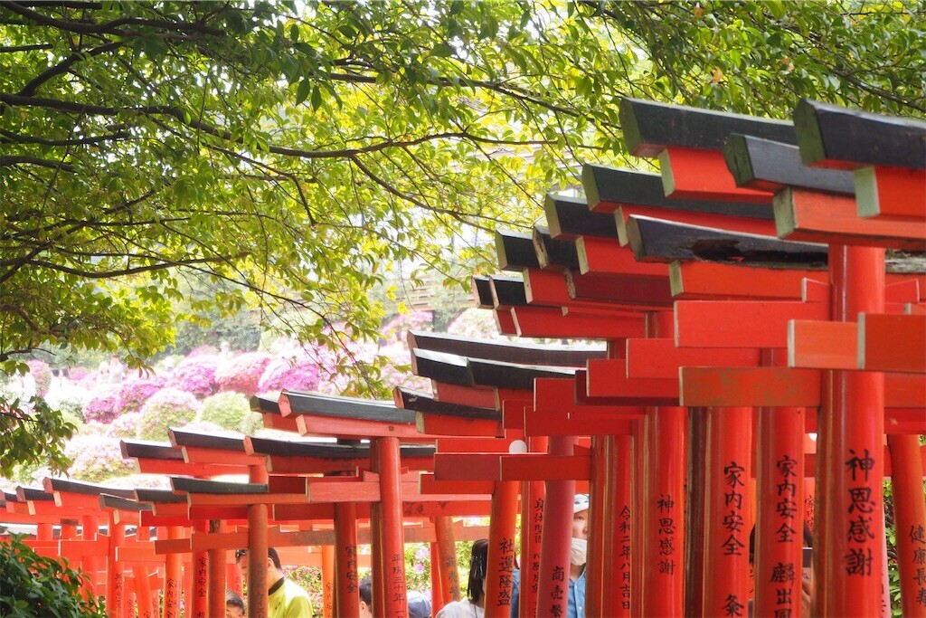 f:id:yoshino_40:20240421215744j:image