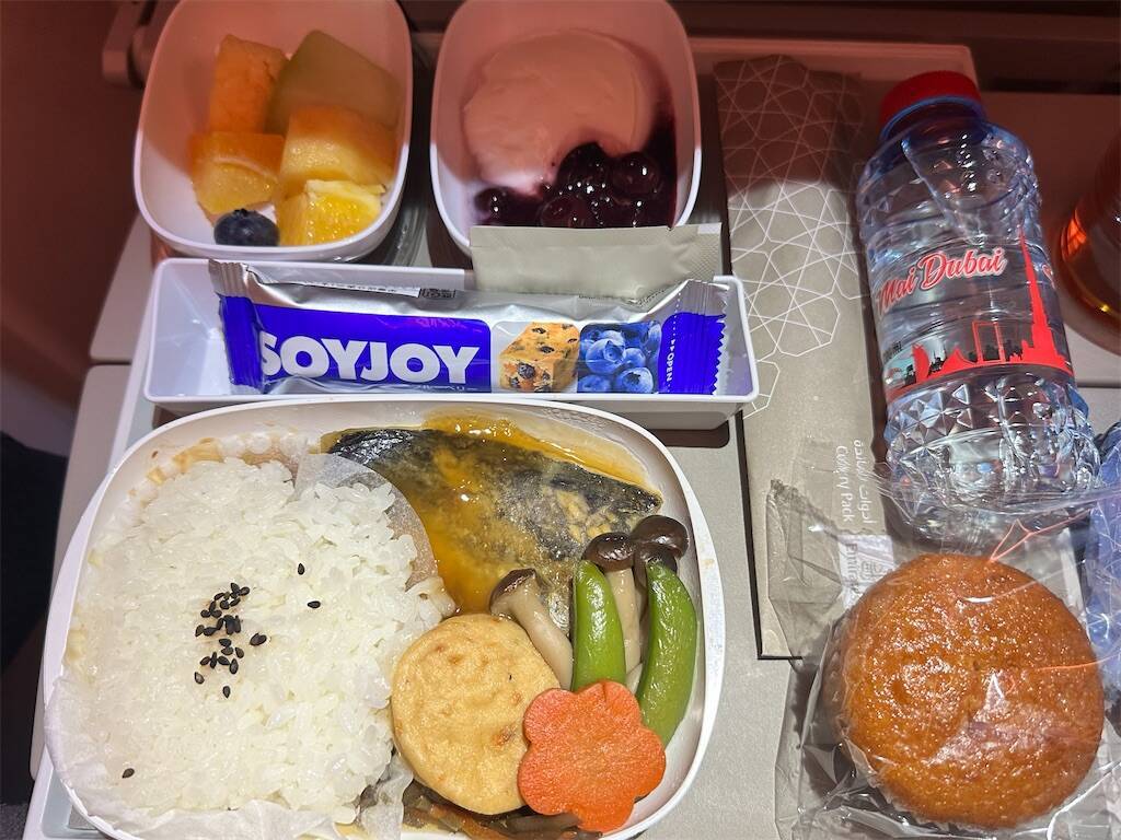 f:id:yoshino_40:20240821224453j:image