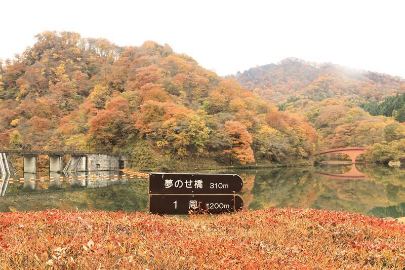 F10号です。碓氷峠で発見した、紅葉。特注額です。 F10号です。碓氷峠で発見した、紅葉。特注額です。 （旧碓氷峠