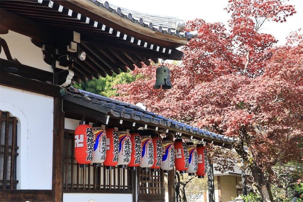 f:id:yoshino_40:20241130215812j:image