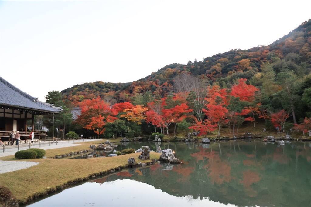 f:id:yoshino_40:20241130215907j:image