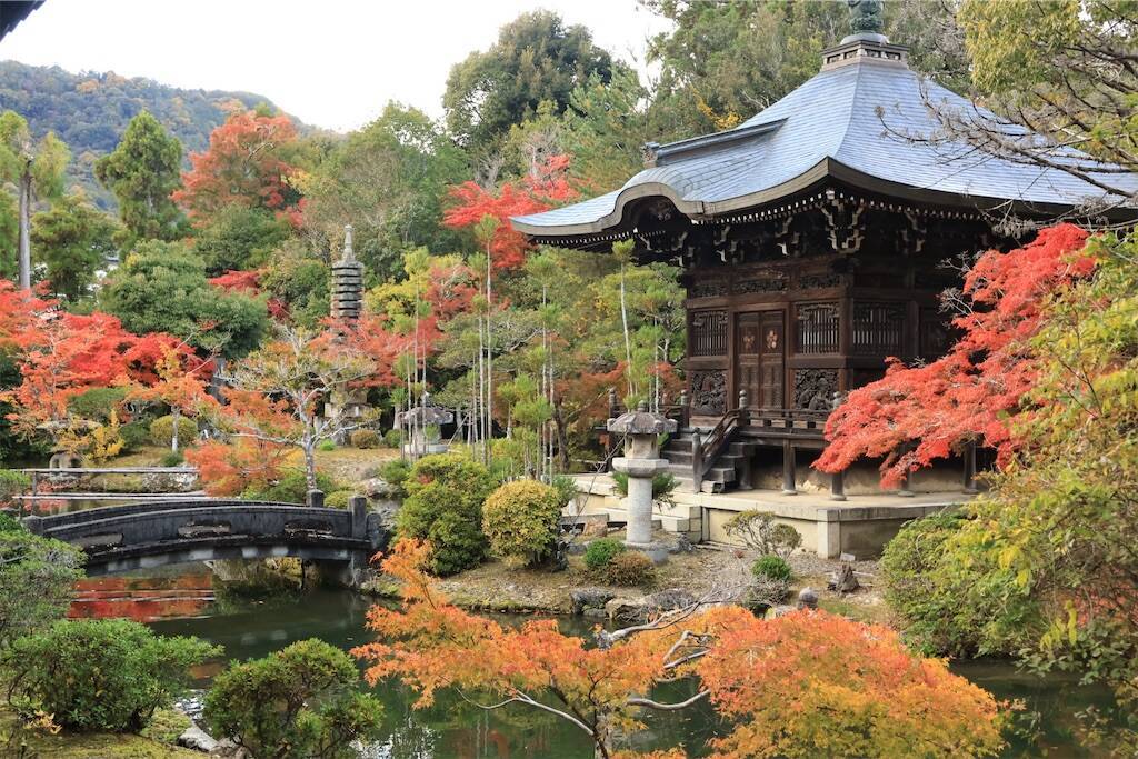 f:id:yoshino_40:20241130220246j:image