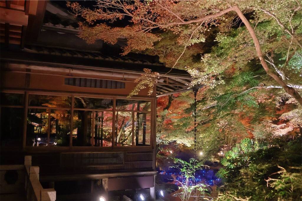 f:id:yoshino_40:20241130220510j:image