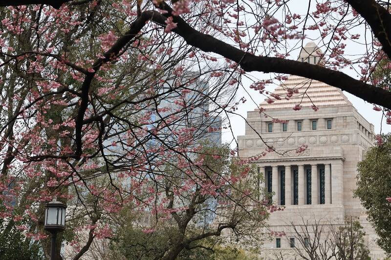 5000円 銀貨 桜の花 国会議事堂 大阪EXPO90 国際花と緑の博覧会記念 5000円銀貨 H2年 未使用