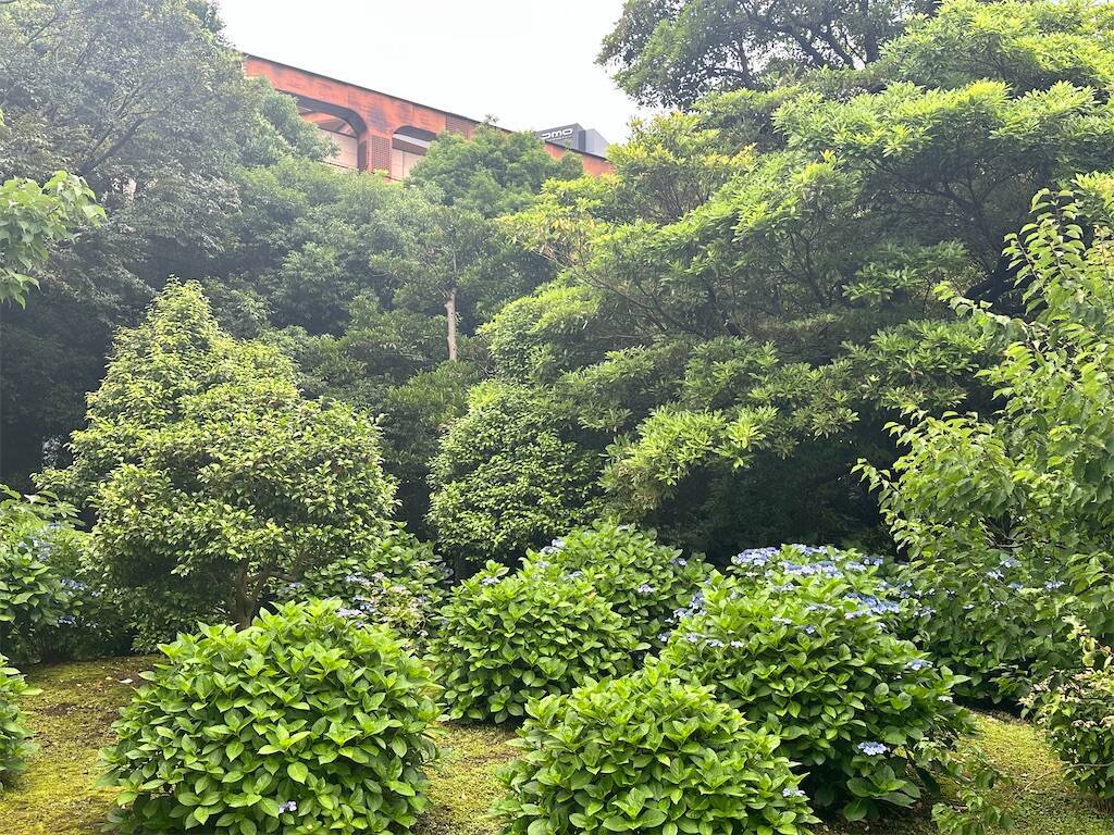 f:id:yoshino_40:20250617012135j:image