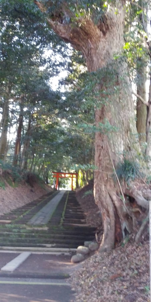 f:id:yoshinobu44:20200113225923j:plain f:id:yoshinobu44:20200113225923j:plain
