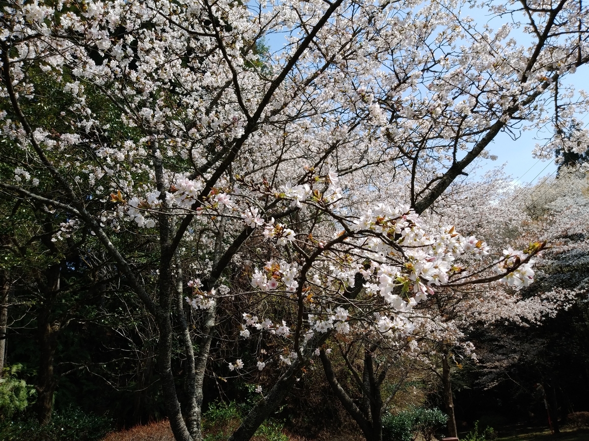 f:id:yoshinobu44:20210314200913j:plain