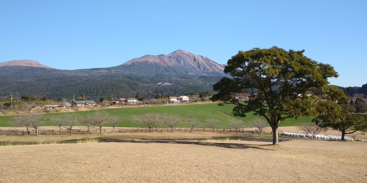 f:id:yoshinobu44:20210521174544j:plain