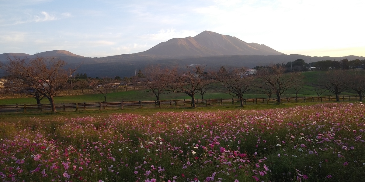 f:id:yoshinobu44:20210521174905j:plain