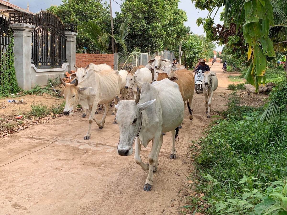 f:id:yoshinobunakamura:20190910192346j:plain