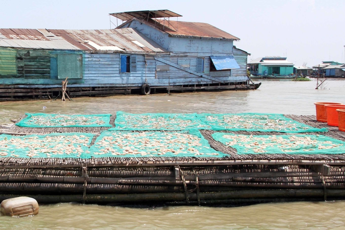 f:id:yoshinobunakamura:20200308104526j:plain