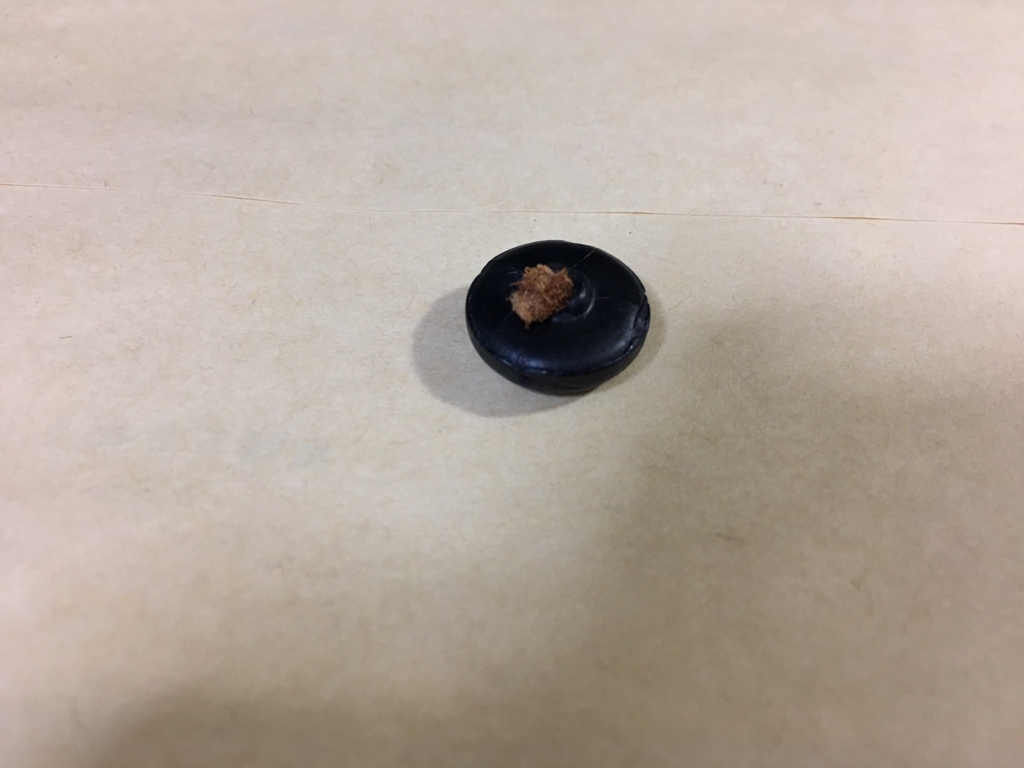 f:id:yoshinori-hoshi:20170123070638j:plain