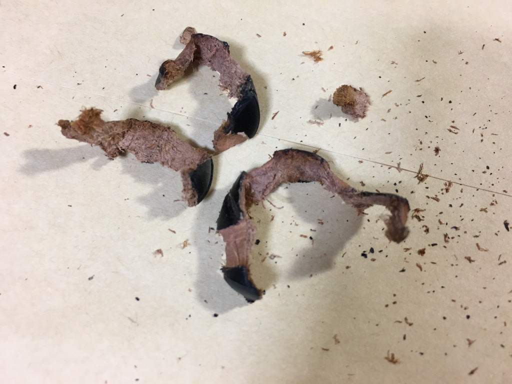 f:id:yoshinori-hoshi:20170123071012j:plain