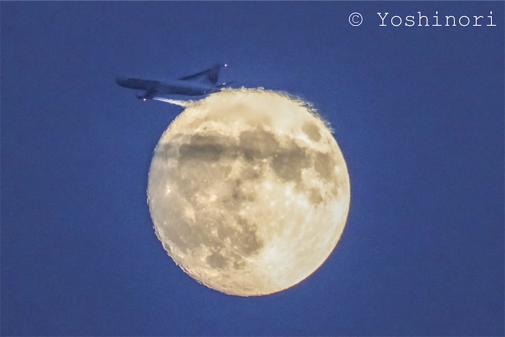 f:id:yoshinori0602:20180927043746j:image f:id:yoshinori0602:20180927043746j:image