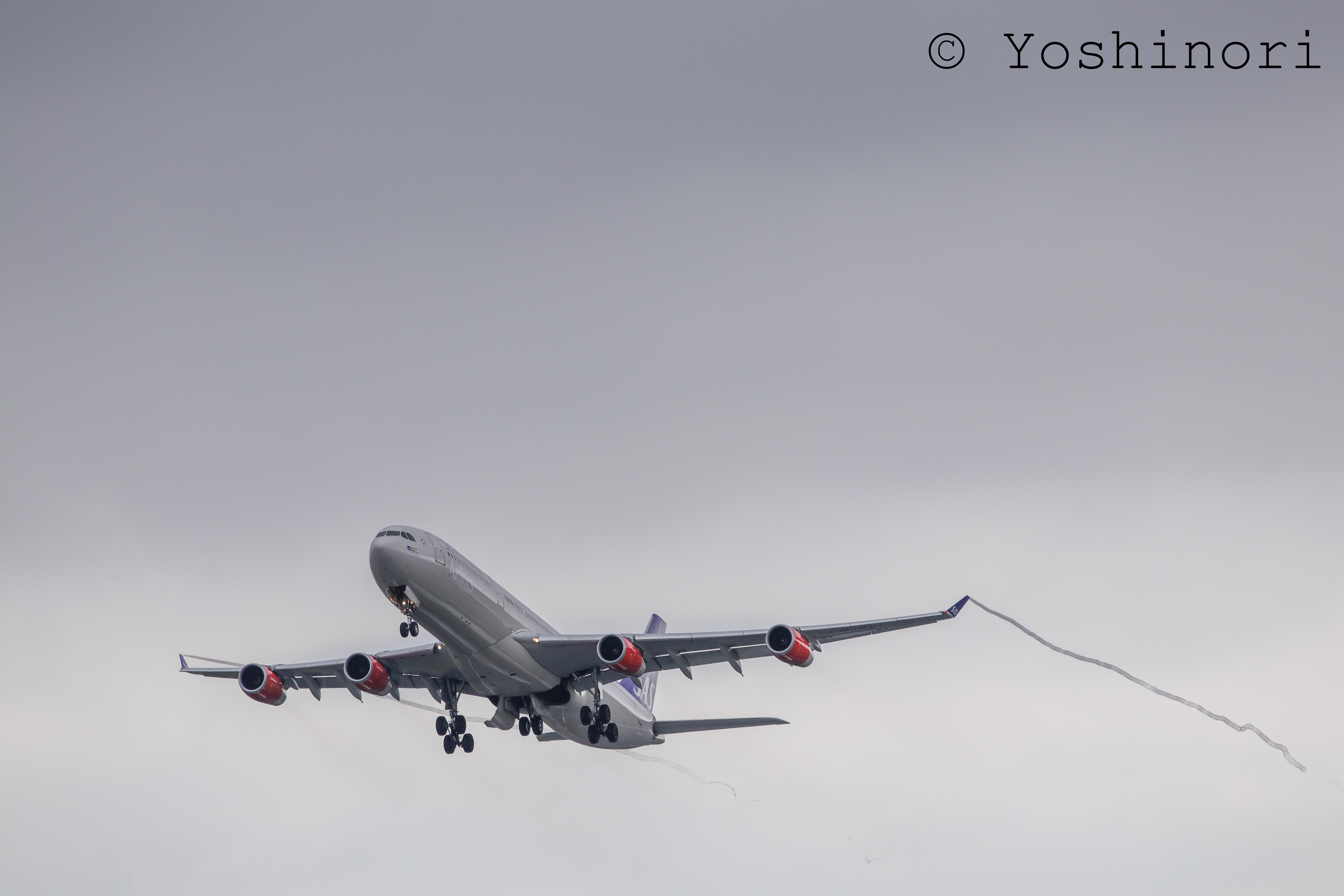 f:id:yoshinori0602:20181004134819j:image f:id:yoshinori0602:20181004134819j:image