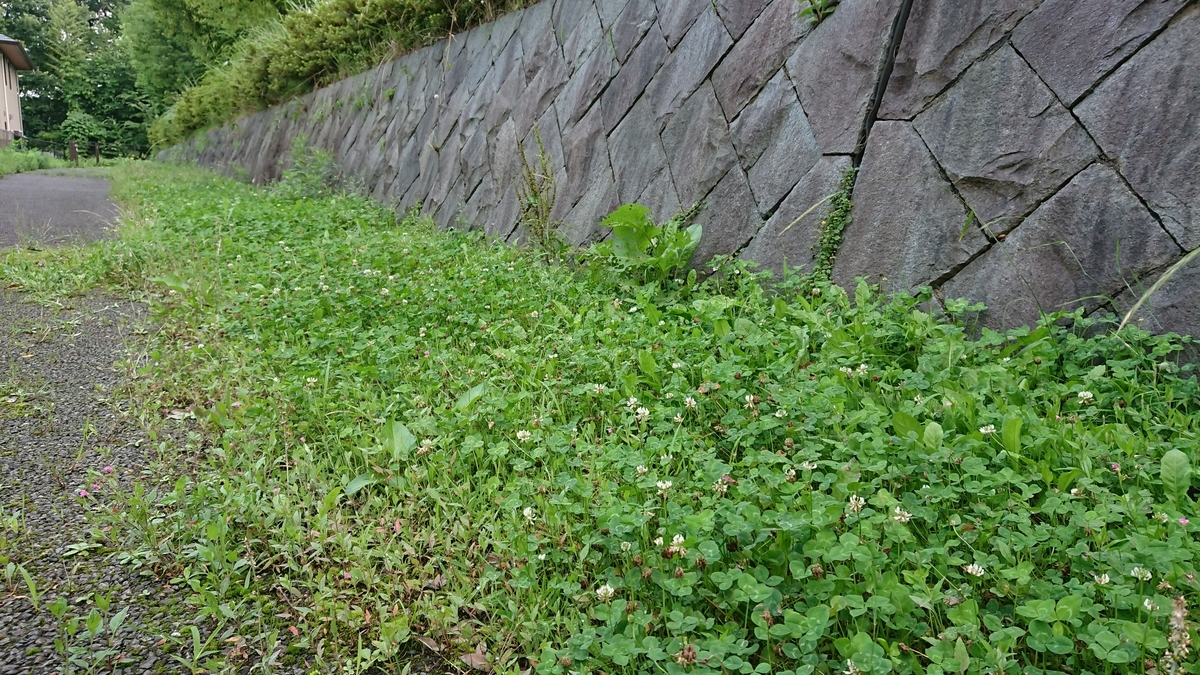 f:id:yoshinori66:20190726150518j:plain f:id:yoshinori66:20190726150518j:plain