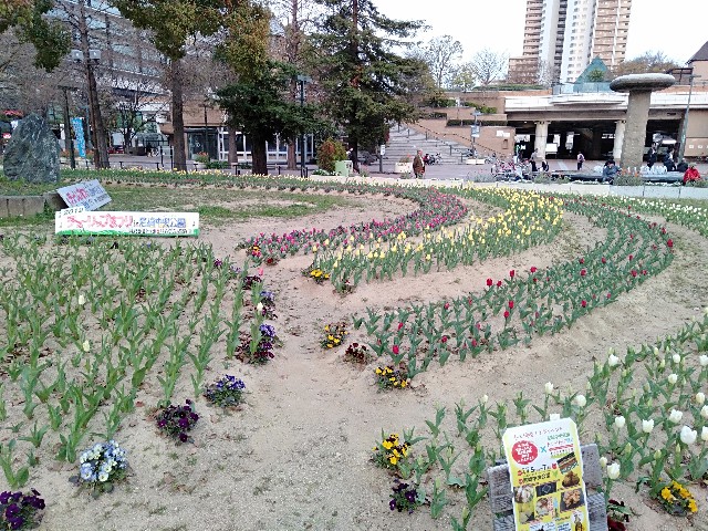 f:id:yoshio1018:20190329205931j:image