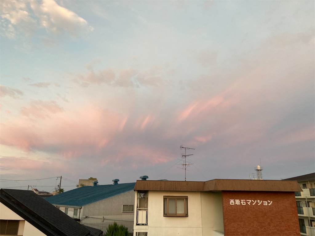 f:id:yoshio_tani:20240925055204j:image