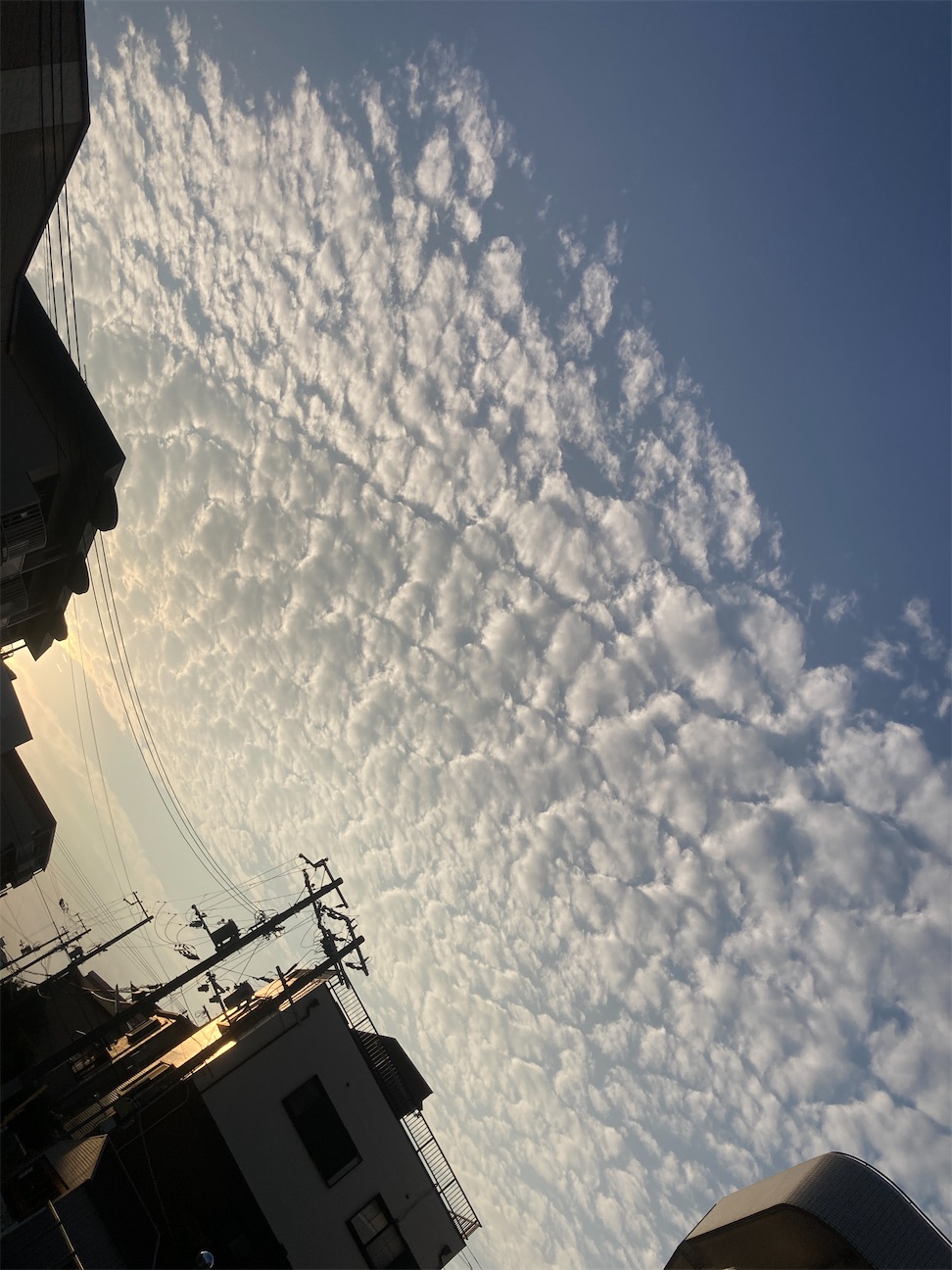 f:id:yoshio_tani:20260925070130j:image f:id:yoshio_tani:20260925070130j:image