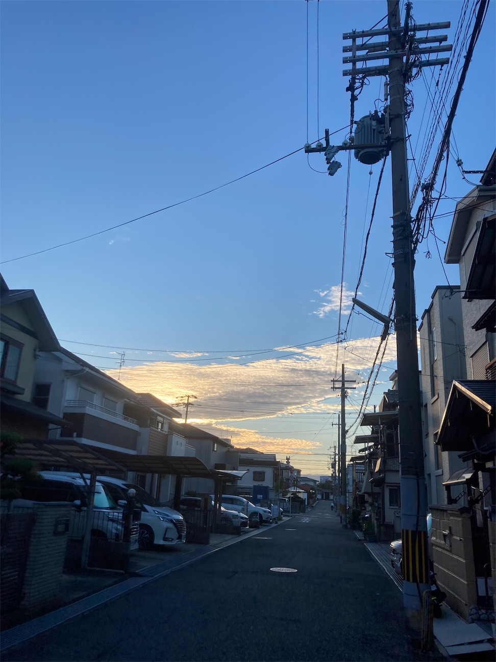 f:id:yoshio_tani:20260925070159j:image f:id:yoshio_tani:20260925070159j:image