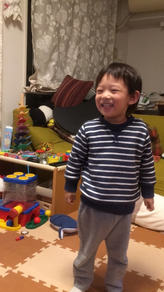 f:id:yoshipapan:20171127211754j:plain f:id:yoshipapan:20171127211754j:plain