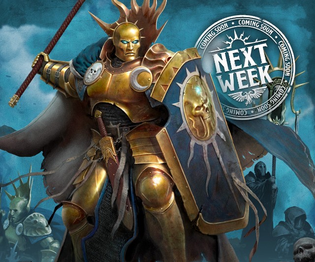 ‼️値下げはコメントで‼️ 【ストーム社】DNAストランド DESCENDANT＞ Mens Cetus Organic Cotton Long Sleeve Pigment