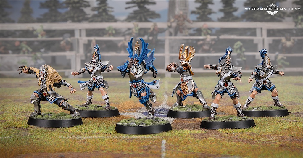 ウォーハンマー ハイエルフ standard bearer 生産終了 ブラッドボウル】ハイエルフチーム能力色々 - たるいのウォーハンマー