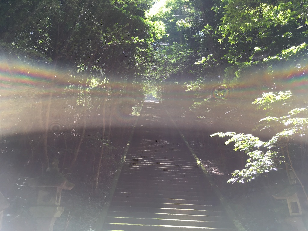 f:id:yoshiro1712015:20180730232804j:image f:id:yoshiro1712015:20180730232804j:image