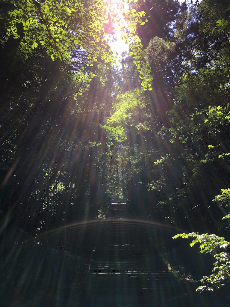 f:id:yoshiro1712015:20180730233710j:image f:id:yoshiro1712015:20180730233710j:image