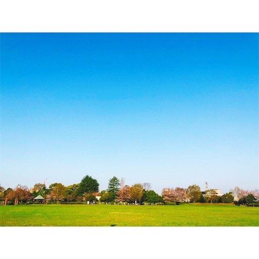 f:id:yoshitaka4729:20180404062340j:image f:id:yoshitaka4729:20180404062340j:image
