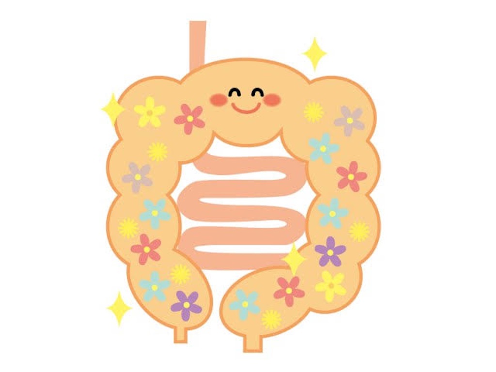f:id:yoshitake08:20220521124455j:image f:id:yoshitake08:20220521124455j:image