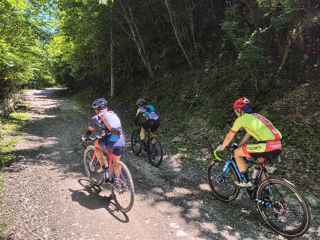 f:id:yoshitakucha:20250831121010j:image f:id:yoshitakucha:20250831121010j:image