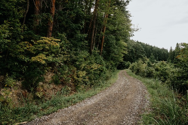 f:id:yoshitakucha:20250831121655j:image f:id:yoshitakucha:20250831121655j:image