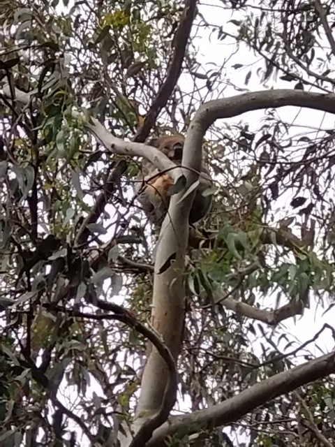 f:id:yoshitakucha:20251021140844j:image f:id:yoshitakucha:20251021140844j:image