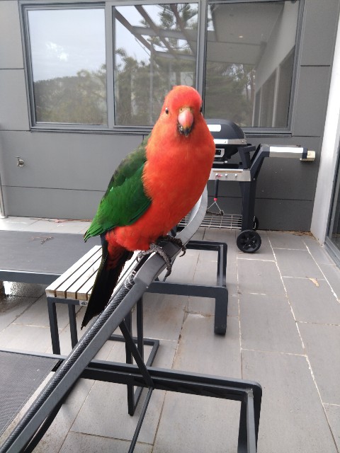 f:id:yoshitakucha:20251021140903j:image f:id:yoshitakucha:20251021140903j:image