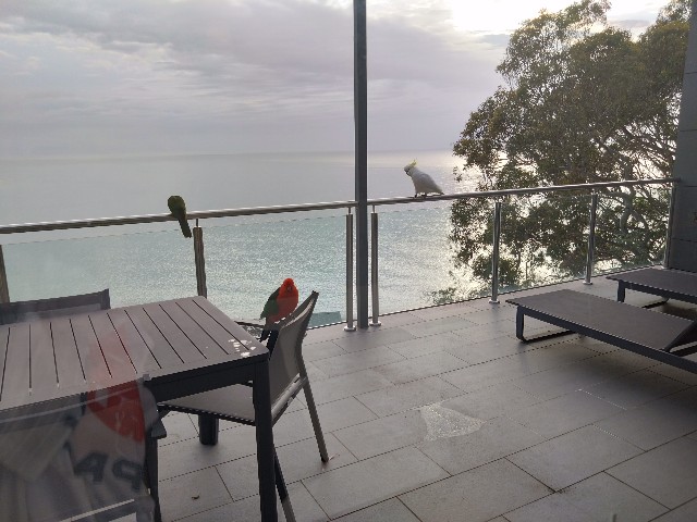 f:id:yoshitakucha:20251021140932j:image f:id:yoshitakucha:20251021140932j:image